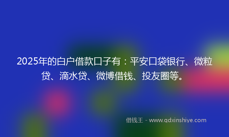 2025年的白户借款口子有：平安口袋银行、微粒贷、滴水贷、微博借钱、投友圈等。