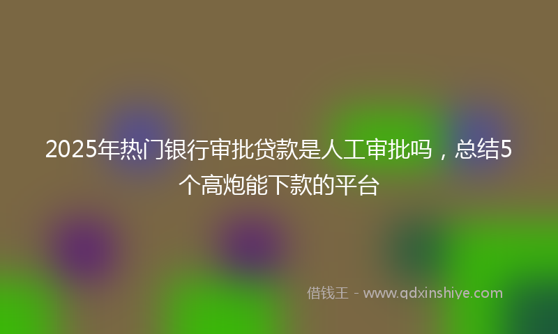 2025年热门银行审批贷款是人工审批吗，总结5个高炮能下款的平台