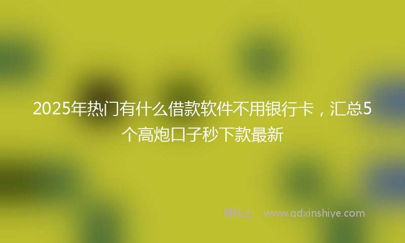 2025年热门有什么借款软件不用银行卡，汇总5个高炮口子秒下款最新