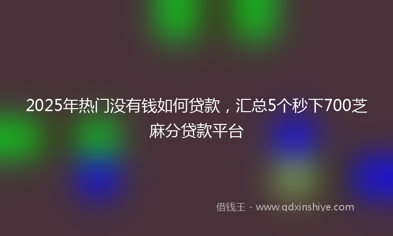 2025年热门没有钱如何贷款，汇总5个秒下700芝麻分贷款平台