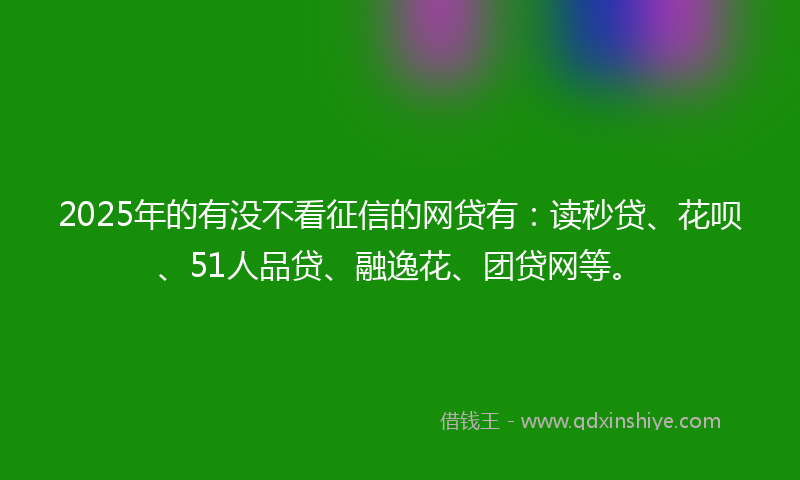 2025年的有没不看征信的网贷有：读秒贷、花呗、51人品贷、融逸花、团贷网等。