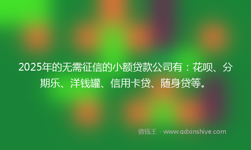 2025年的无需征信的小额贷款公司有：花呗、分期乐、洋钱罐、信用卡贷、随身贷等。