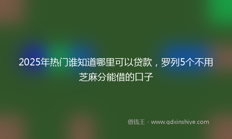 2025年热门谁知道哪里可以贷款，罗列5个不用芝麻分能借的口子