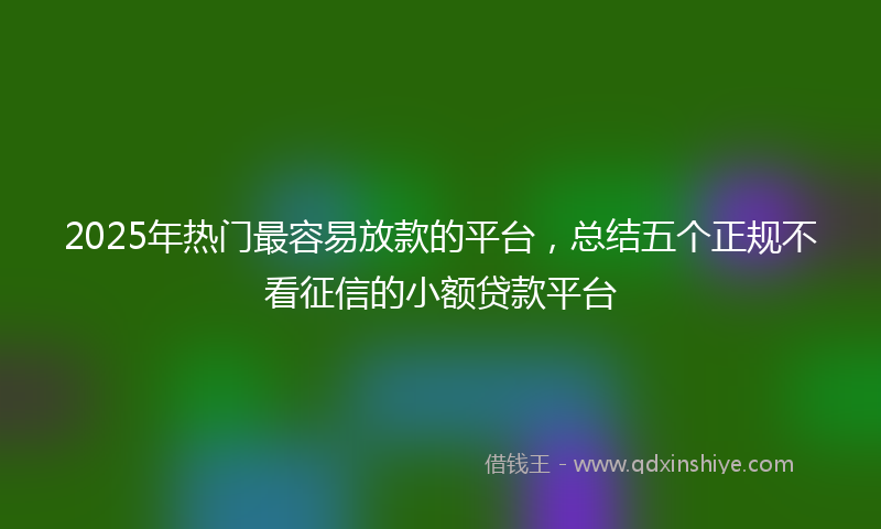 2025年热门最容易放款的平台，总结五个正规不看征信的小额贷款平台