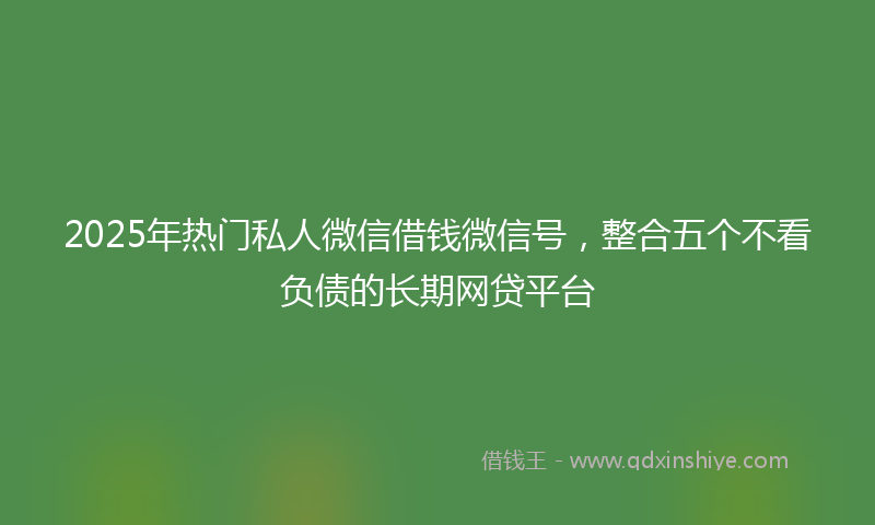 2025年热门私人微信借钱微信号，整合五个不看负债的长期网贷平台