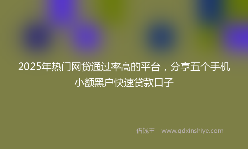 2025年热门网贷通过率高的平台，分享五个手机小额黑户快速贷款口子