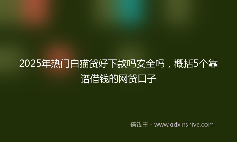 2025年热门白猫贷好下款吗安全吗，概括5个靠谱借钱的网贷口子
