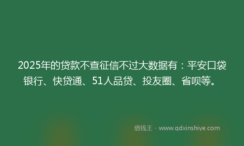 2025年的贷款不查征信不过大数据有：平安口袋银行、快贷通、51人品贷、投友圈、省呗等。