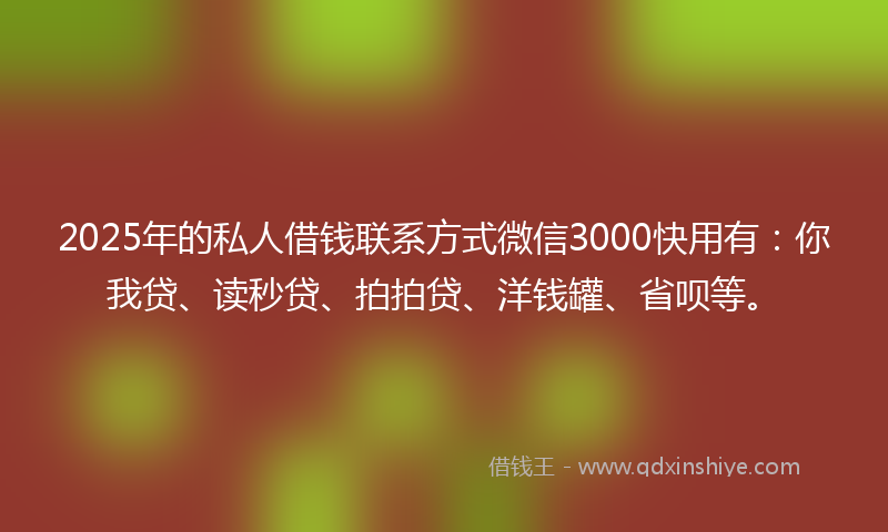 2025年的私人借钱联系方式微信3000快用有：你我贷、读秒贷、拍拍贷、洋钱罐、省呗等。