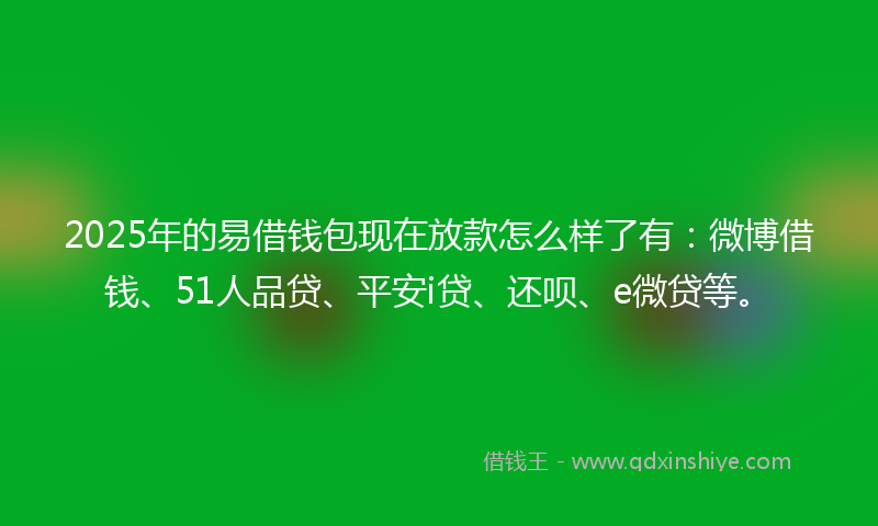 2025年的易借钱包现在放款怎么样了有：微博借钱、51人品贷、平安i贷、还呗、e微贷等。