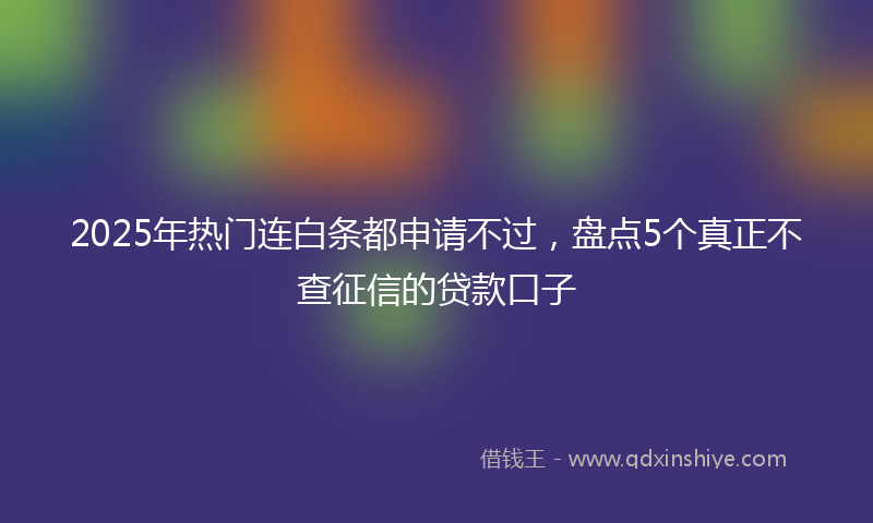 2025年热门连白条都申请不过，盘点5个真正不查征信的贷款口子