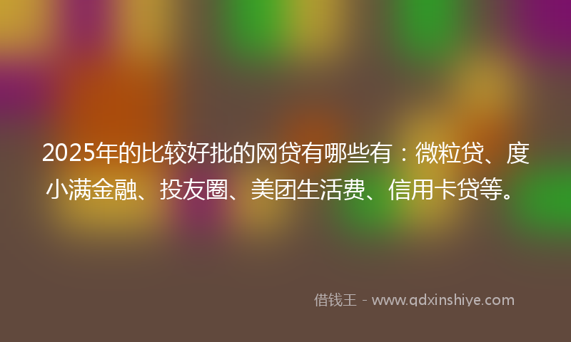 2025年的比较好批的网贷有哪些有：微粒贷、度小满金融、投友圈、美团生活费、信用卡贷等。