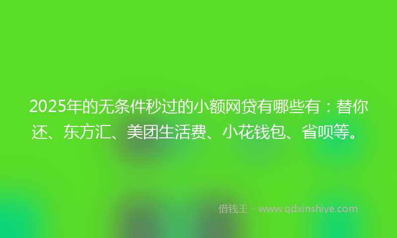 2025年的无条件秒过的小额网贷有哪些有：替你还、东方汇、美团生活费、小花钱包、省呗等。