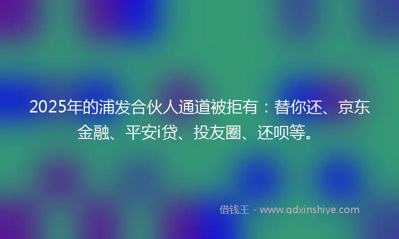 2025年的浦发合伙人通道被拒有：替你还、京东金融、平安i贷、投友圈、还呗等。