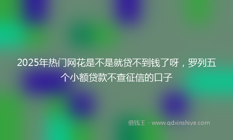 2025年热门网花是不是就贷不到钱了呀，罗列五个小额贷款不查征信的口子