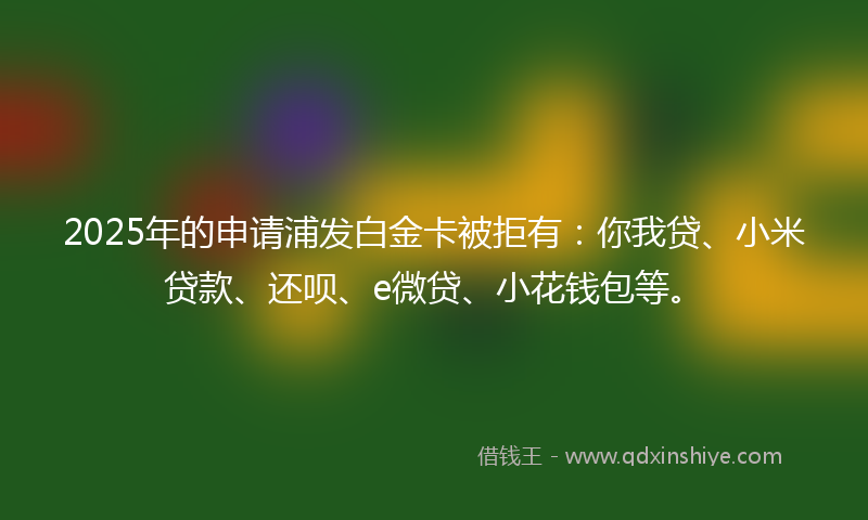 2025年的申请浦发白金卡被拒有：你我贷、小米贷款、还呗、e微贷、小花钱包等。