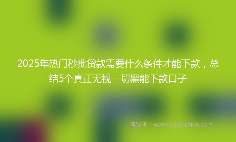 2025年热门秒批贷款需要什么条件才能下款，总结5个真正无视一切黑能下款口子