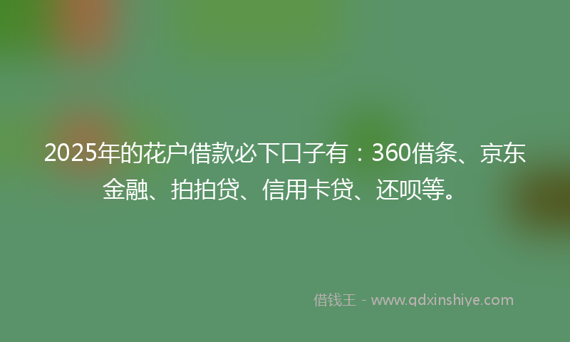 2025年的花户借款必下口子有：360借条、京东金融、拍拍贷、信用卡贷、还呗等。