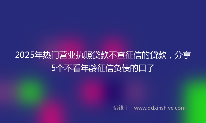 2025年热门营业执照贷款不查征信的贷款，分享5个不看年龄征信负债的口子