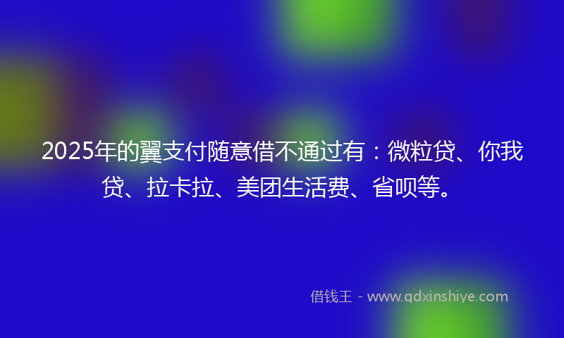 2025年的翼支付随意借不通过有：微粒贷、你我贷、拉卡拉、美团生活费、省呗等。