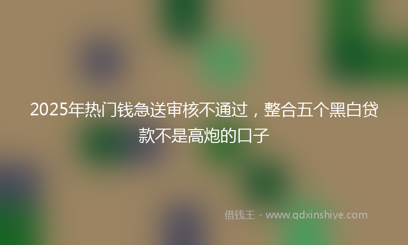 2025年热门钱急送审核不通过，整合五个黑白贷款不是高炮的口子