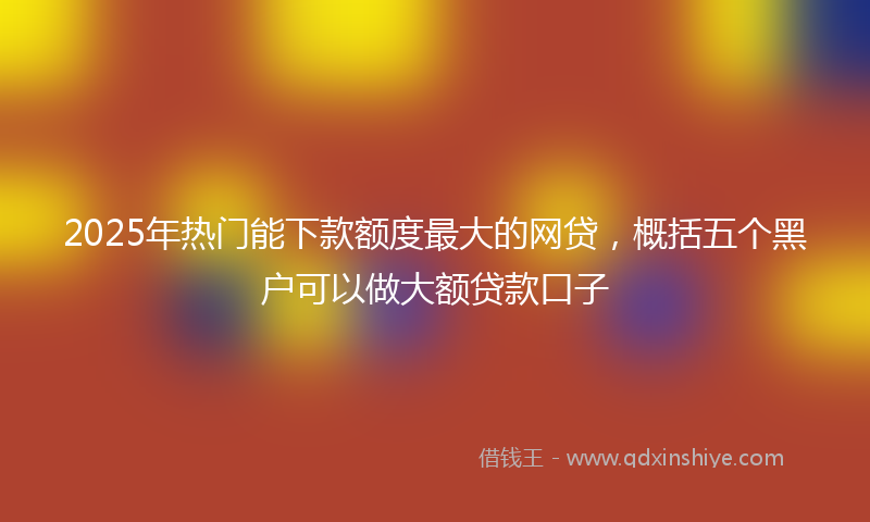 2025年热门能下款额度最大的网贷，概括五个黑户可以做大额贷款口子