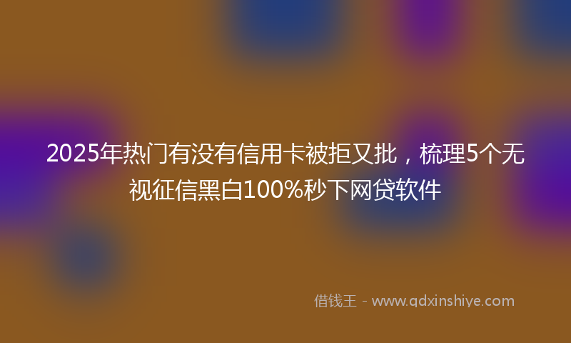 2025年热门有没有信用卡被拒又批，梳理5个无视征信黑白100%秒下网贷软件