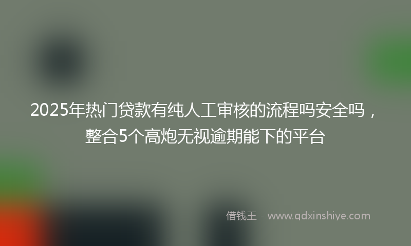 2025年热门贷款有纯人工审核的流程吗安全吗，整合5个高炮无视逾期能下的平台