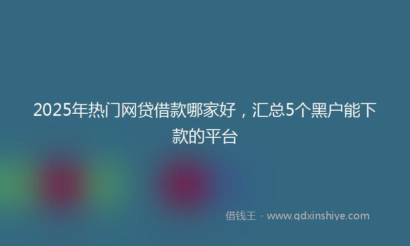 2025年热门网贷借款哪家好，汇总5个黑户能下款的平台