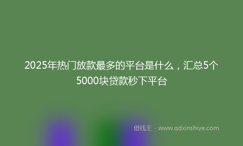 2025年热门放款最多的平台是什么，汇总5个5000块贷款秒下平台