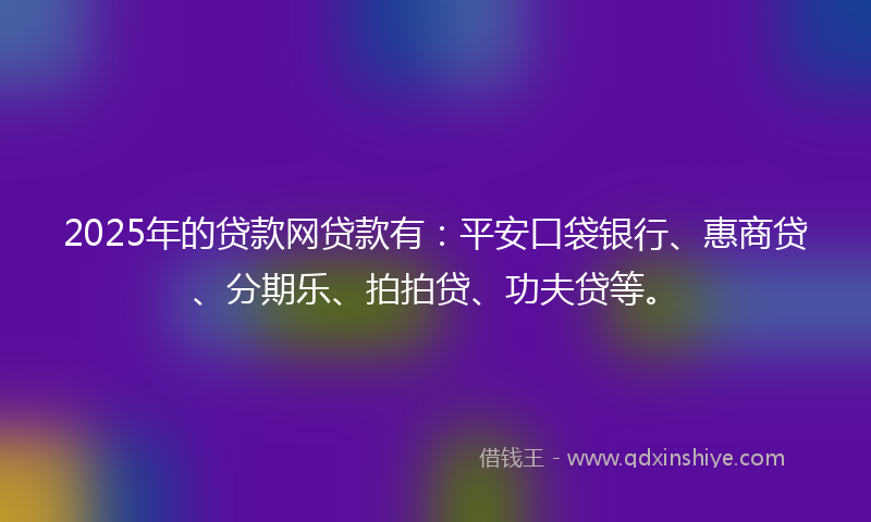 2025年的贷款网贷款有：平安口袋银行、惠商贷、分期乐、拍拍贷、功夫贷等。
