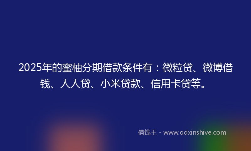 2025年的蜜柚分期借款条件有：微粒贷、微博借钱、人人贷、小米贷款、信用卡贷等。