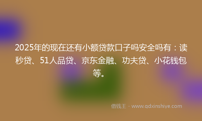 2025年的现在还有小额贷款口子吗安全吗有：读秒贷、51人品贷、京东金融、功夫贷、小花钱包等。