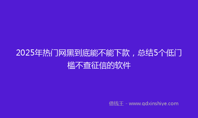 2025年热门网黑到底能不能下款，总结5个低门槛不查征信的软件