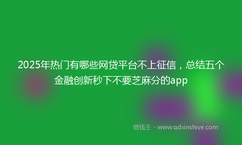 2025年热门有哪些网贷平台不上征信，总结五个金融创新秒下不要芝麻分的app