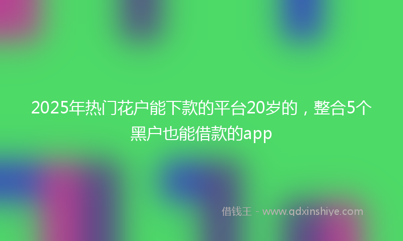 2025年热门花户能下款的平台20岁的，整合5个黑户也能借款的app