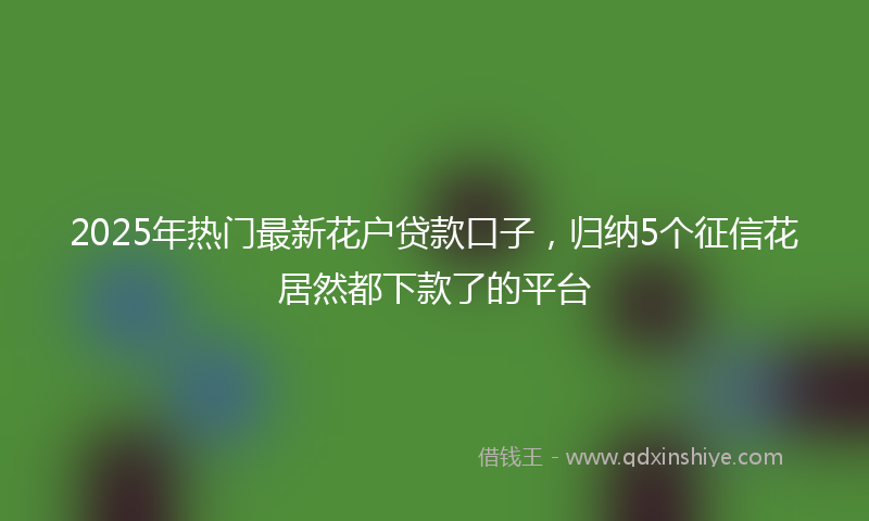 2025年热门最新花户贷款口子，归纳5个征信花居然都下款了的平台