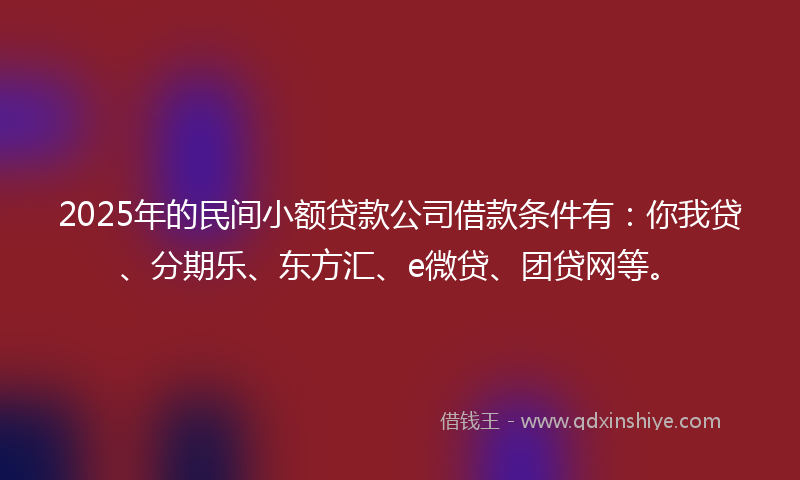 2025年的民间小额贷款公司借款条件有：你我贷、分期乐、东方汇、e微贷、团贷网等。