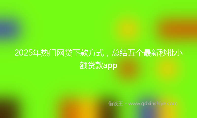 2025年热门网贷下款方式，总结五个最新秒批小额贷款app