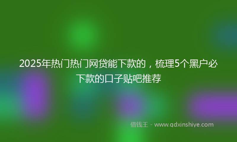 2025年热门热门网贷能下款的，梳理5个黑户必下款的口子贴吧推荐