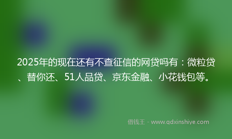 2025年的现在还有不查征信的网贷吗有：微粒贷、替你还、51人品贷、京东金融、小花钱包等。