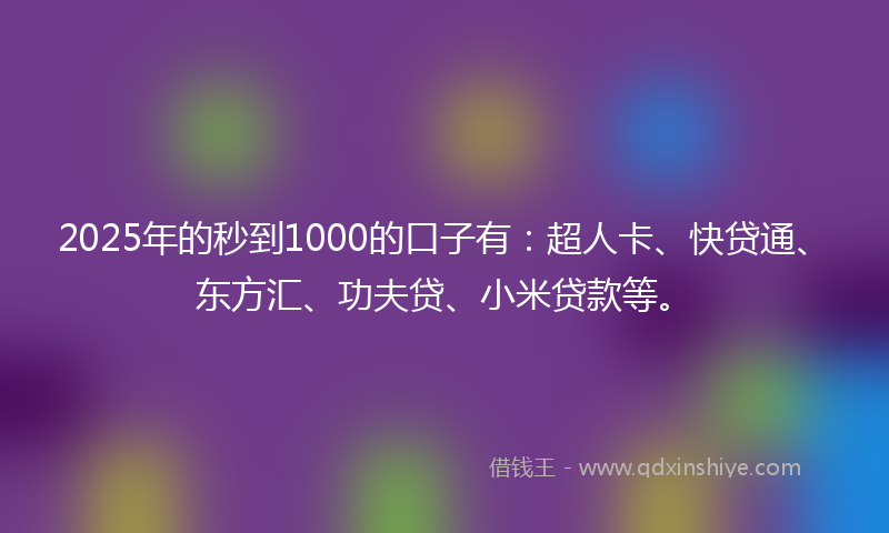 2025年的秒到1000的口子有：超人卡、快贷通、东方汇、功夫贷、小米贷款等。