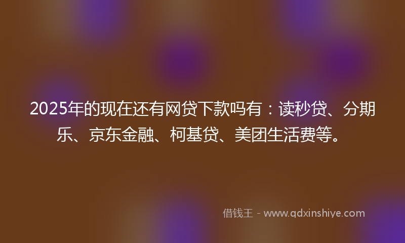 2025年的现在还有网贷下款吗有：读秒贷、分期乐、京东金融、柯基贷、美团生活费等。