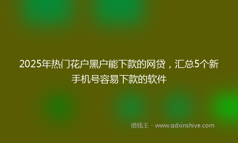 2025年热门花户黑户能下款的网贷，汇总5个新手机号容易下款的软件