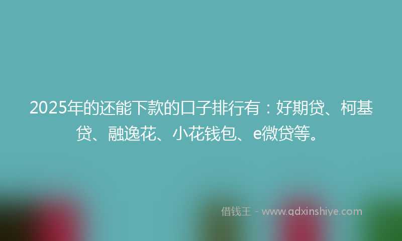2025年的还能下款的口子排行有：好期贷、柯基贷、融逸花、小花钱包、e微贷等。