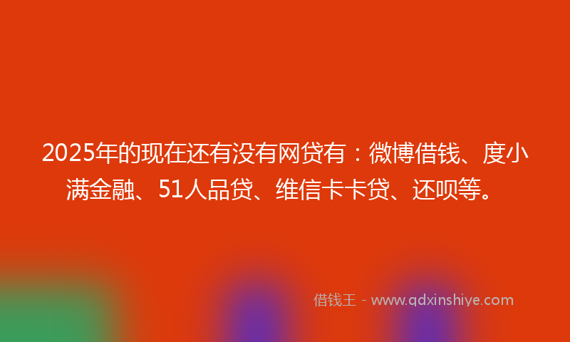 2025年的现在还有没有网贷有：微博借钱、度小满金融、51人品贷、维信卡卡贷、还呗等。