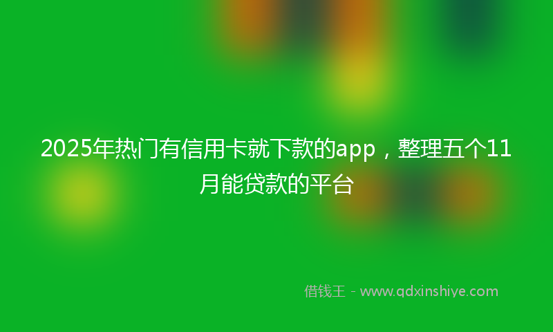 2025年热门有信用卡就下款的app，整理五个11月能贷款的平台