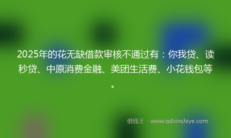 2025年的花无缺借款审核不通过有：你我贷、读秒贷、中原消费金融、美团生活费、小花钱包等。