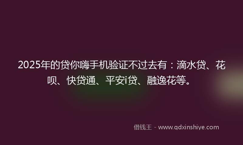 2025年的贷你嗨手机验证不过去有：滴水贷、花呗、快贷通、平安i贷、融逸花等。