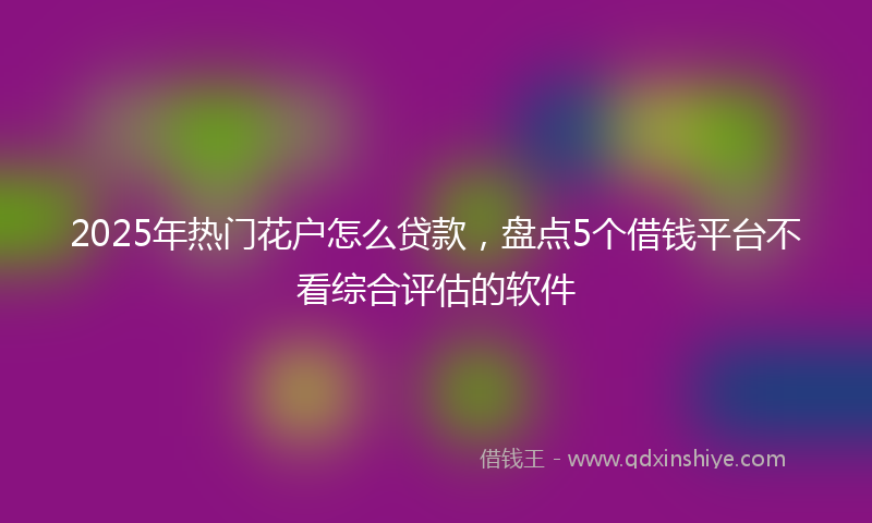 2025年热门花户怎么贷款，盘点5个借钱平台不看综合评估的软件